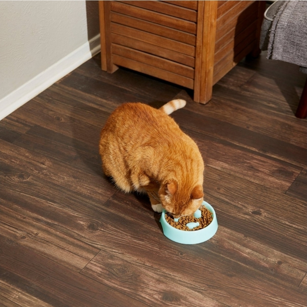 Frisco Fish Shaped Ridges Slow Feed Bowl - Picture 6 of 6
